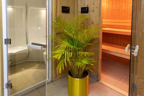 Wonder Palace Hotel Qatar