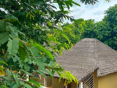 المنظر الخارجي, Hampi Village Jungle Resort in هامبي