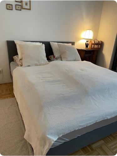 Beautiful Flat top Location, Viena