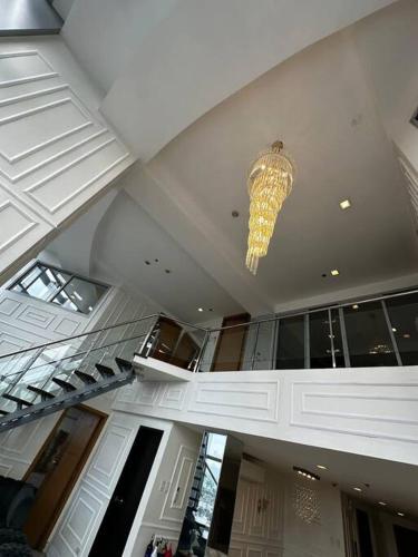 Alpaca-Lemon Penthouse Alpaca-Lemon Penthouse