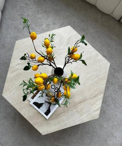 Alpaca-Lemon Penthouse Alpaca-Lemon Penthouse