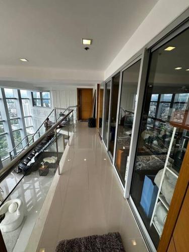 Alpaca-Lemon Penthouse Alpaca-Lemon Penthouse