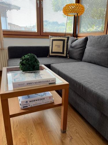 Studio 21a, Hopfgarten im Brixental (foto 10)