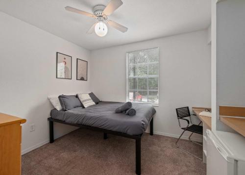 Budget Friendly 1 MI to USF Pool GYM in Tampa, USA