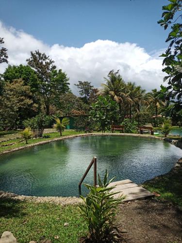 景觀, Mineral River Eco Caravan in 林孔德拉別哈