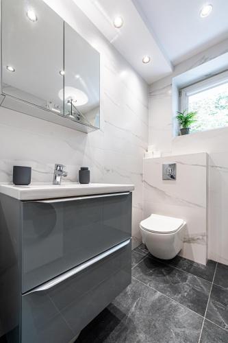 Banheiro, Apartament Emily Brzeźno (Apartament Emily Brzezno) in Brzezno