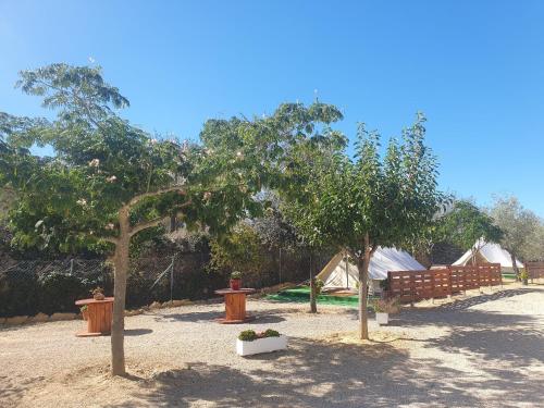 Dārzs, Camping Ciudad del Ciclismo - Glamping in Cervera del Maestre