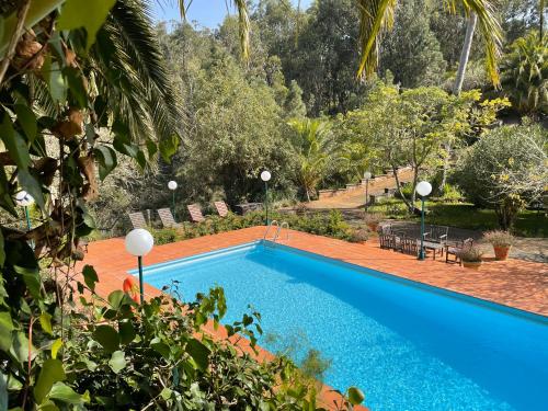 Piscina, Dúplex de invitados en medio del bosque (Duplex de invitados en medio del bosque) in Firgas