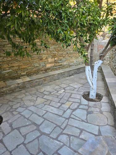 Sofia's house, Áfissos (fotografie 5)