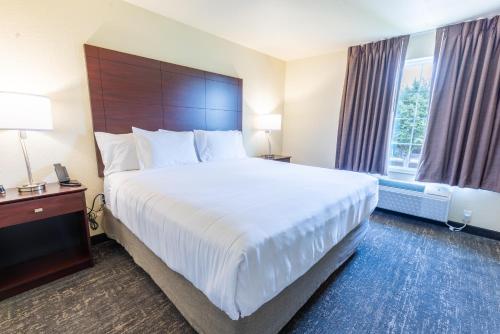Cobblestone Inn & Suites - Winters