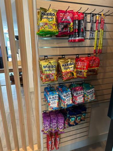 Holiday Inn Express & Suites - Sanford an IHG Hotel - image 7