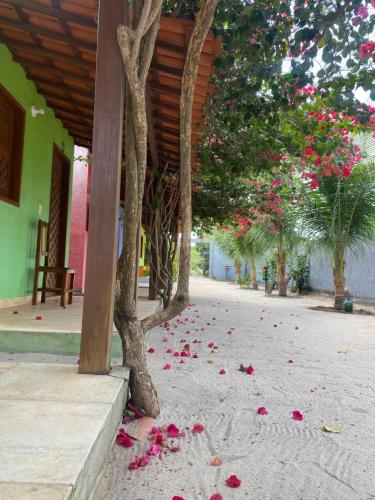 Pousada Caminho do Paraíso (Pousada Caminho do Paraiso) in 日若卡迪熱里科阿科阿拉