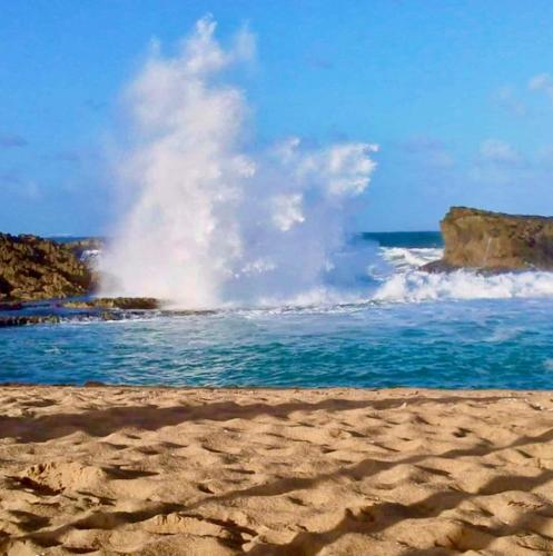 Nearby attraction, Ocean Front Apartments in Arecibo