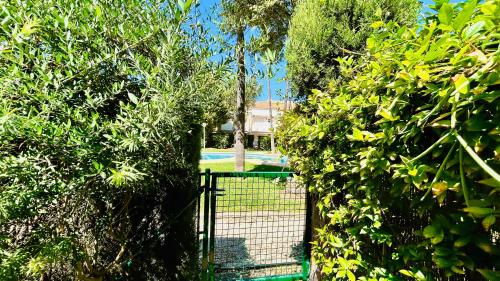 CBL12 Jardin, Platja de l'Arenal (foto 3)