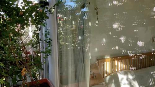 Chambre avec salle de bain privée et balcon végétal à Lisbonne Amoreiras BnB Park Eduardo VII