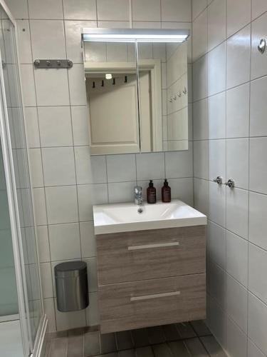 Koselig studioleilighet i sentrum Koselig studioleilighet i sentrum