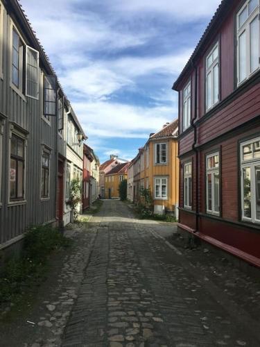 Koselig studioleilighet i sentrum Koselig studioleilighet i sentrum