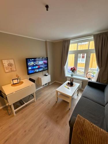 Koselig studioleilighet i sentrum Koselig studioleilighet i sentrum