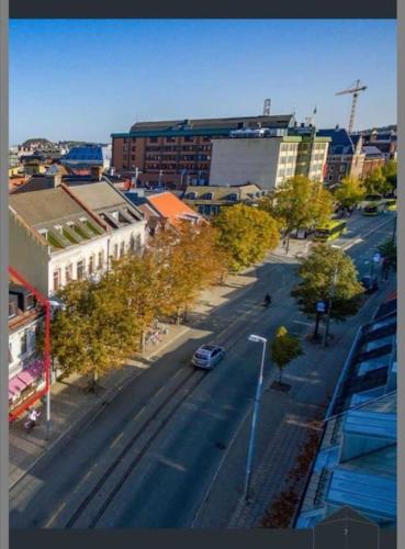 Koselig studioleilighet i sentrum Koselig studioleilighet i sentrum