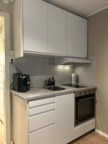 Koselig studioleilighet i sentrum Koselig studioleilighet i sentrum