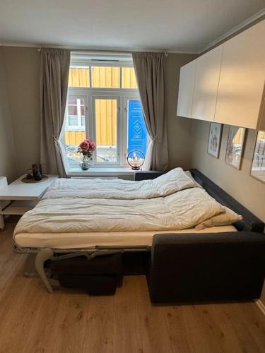 Koselig studioleilighet i sentrum Koselig studioleilighet i sentrum