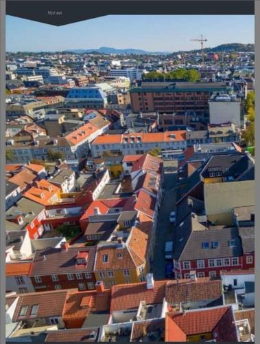 Koselig studioleilighet i sentrum Koselig studioleilighet i sentrum