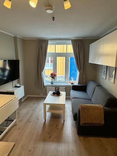 Koselig studioleilighet i sentrum Koselig studioleilighet i sentrum