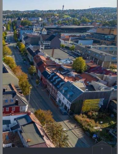 Koselig studioleilighet i sentrum Koselig studioleilighet i sentrum