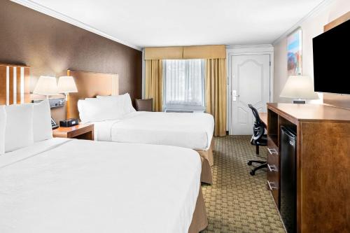 Best Western Skyline Motor Lodge - image 17