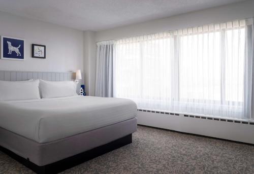 One Bedroom Suite King