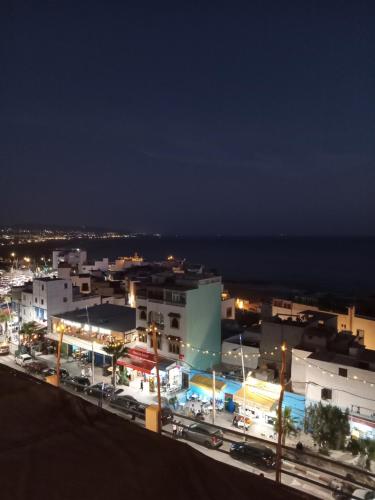 Puppy taghazout – Taghazout, CO