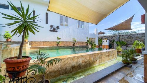 Quinta Alberto Boutique Hotel in San Blas, Mexico