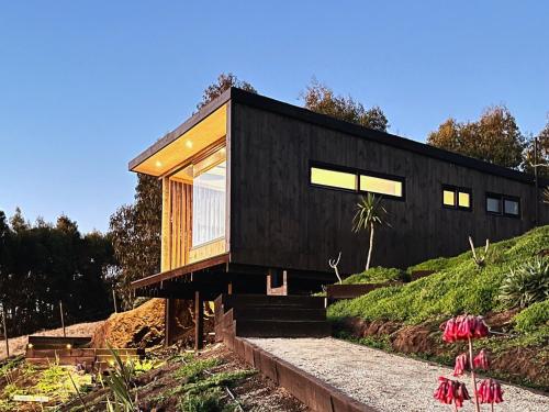 Bejárat, Chackra Centinela in Navidad