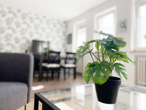 Modern & Chic Apartments with Terrace or Balcony 3