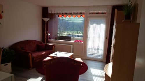 BFE Waldblick Tonbach - Apartment - Baiersbronn