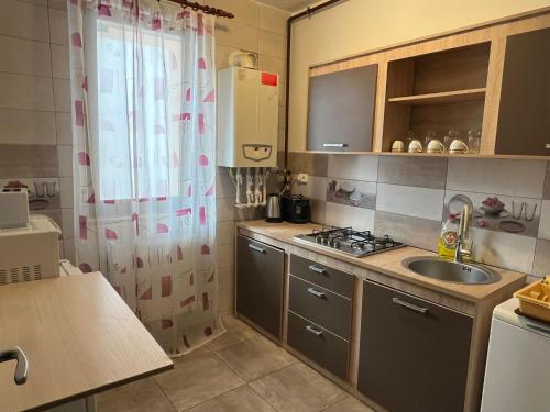 Létesítmények, 62 négyzetméteres, 1 hálószobás Apartman 1 fürdőszobával Mamaia-Sat területén (Apartament Simona's Mackerel ) in Mamaia-Sat