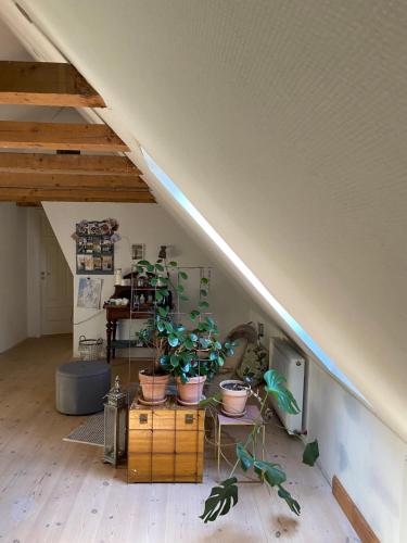 ห้องส่วนกลางสำหรับนั่งเล่น/ดูทีวี, Pilemosegaard in รอสคิลเดอ