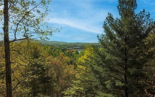 Chalet 141 - Peaceful wooded views cozy interiors plus wifi in Marblehill, USA