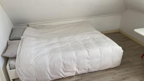 Mooi Appartement in Kralingen, Rotterdam (photo 4)