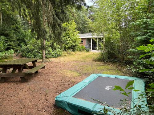 Relaxen in het bos met privésauna, Holten (fotografie 6)