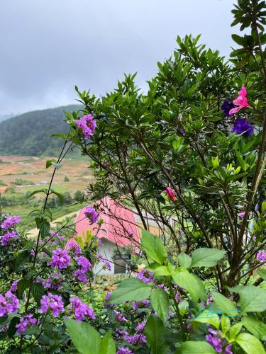 Tuyên Chiến Home & Resort