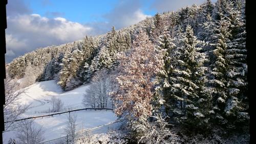 Waldblick Tonbach - Apartment - Baiersbronn