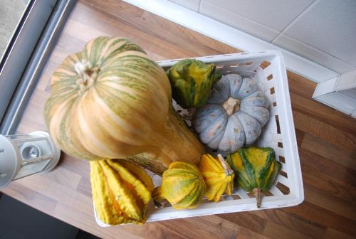 Sombrero Apartment Graça - image 7