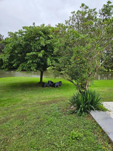 Menthe in ชาลอง