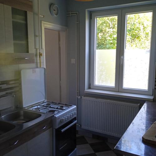 Hause with jacuzzi half hour from Budapest, Velence (photo 8)