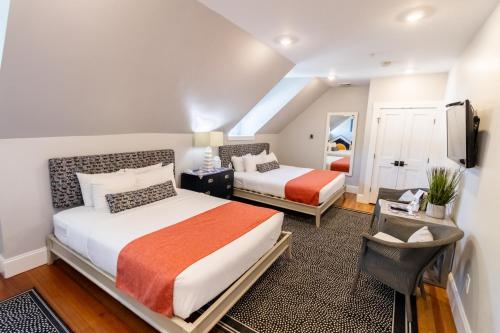 Paws on Pelham - image 11