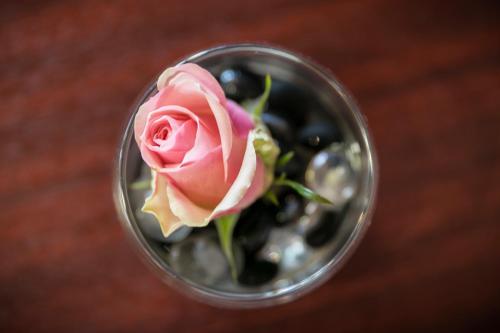 Brit Hotel Rennes Le Castel - image 7