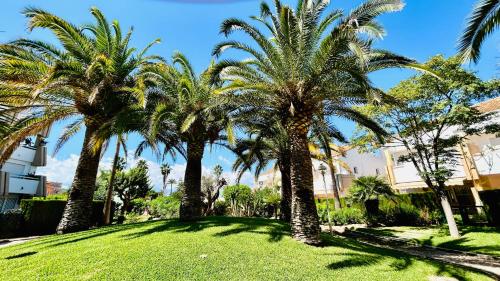 CBL12 Jardin, Platja de l'Arenal (foto 7)