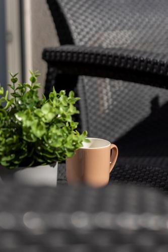 Instalações, Apartament Blisko Parku Śląskiego w Katowicach z Parkingiem by Noclegi Renters (Apartament Blisko Parku Slaskiego w Katowicach z Parkingiem by Noclegi Renters) in Welnowiec