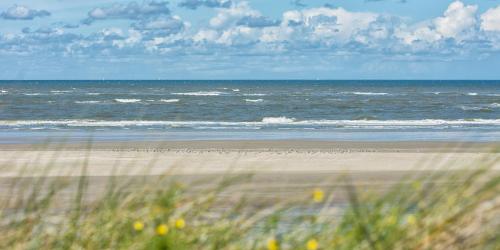 Dünenklause Düne 4 (Dunenklause Dune 4) in 斯皮克島